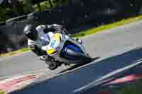Advanced Group White Bikes